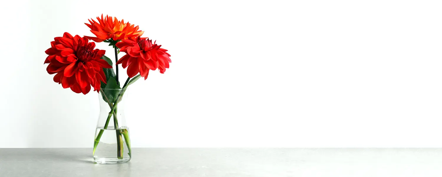 mexican-flowers-thumb